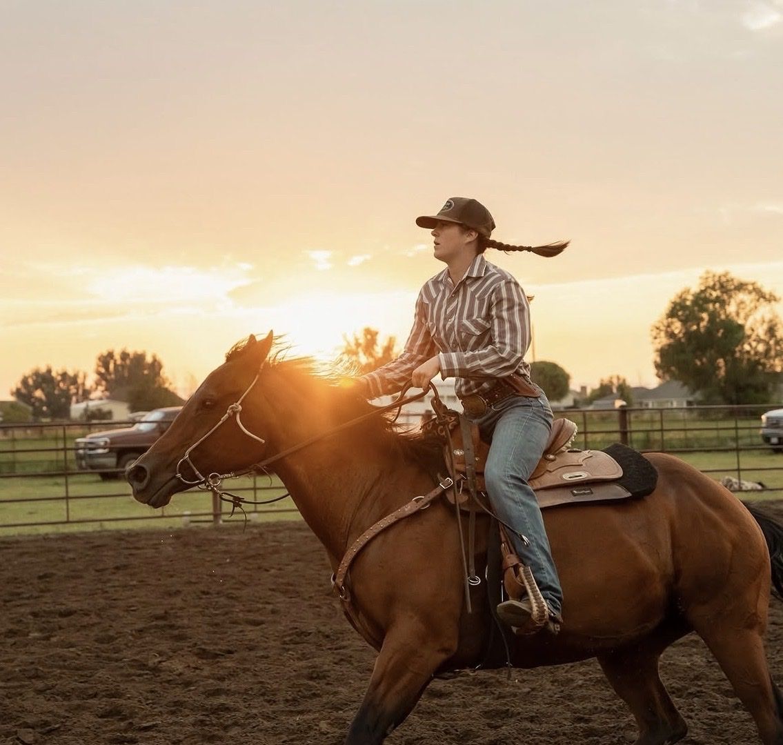 Trail and event horse
