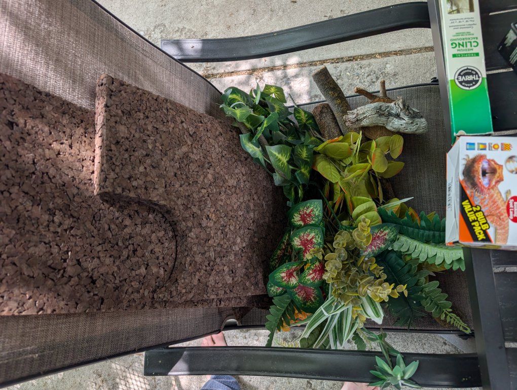 Main image 7