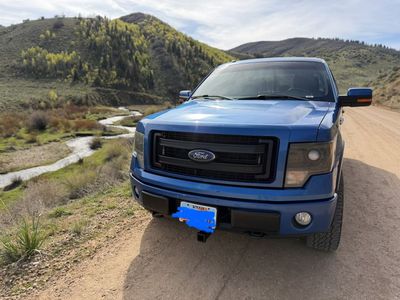 2014 Ford F-150 FX4