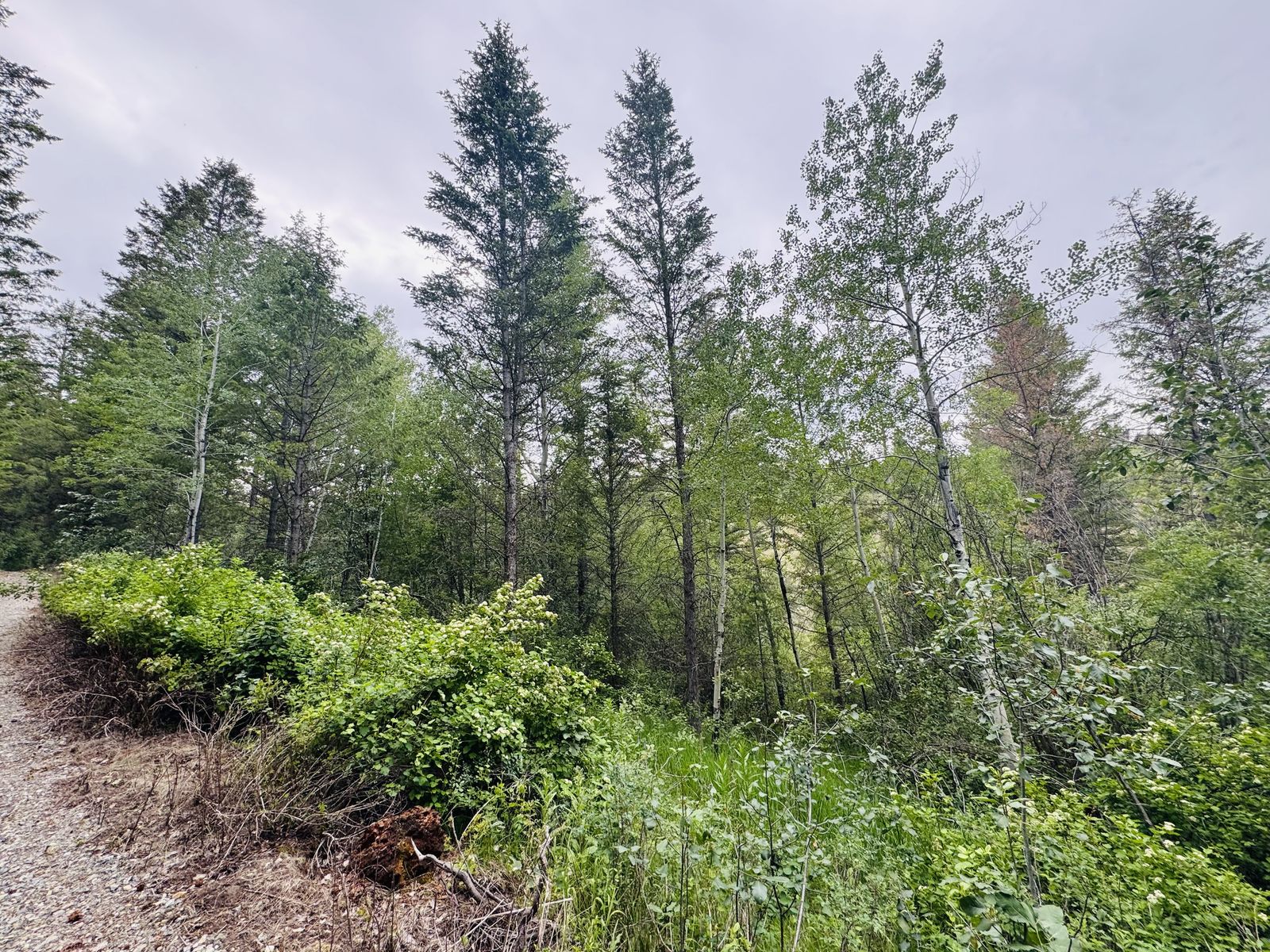 Main image 12