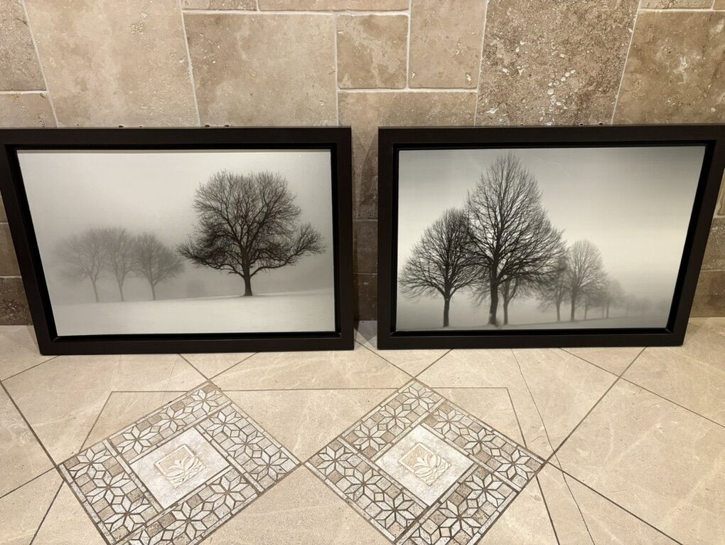 Pair Of Winter Trees Pictures By Ilona Wellman