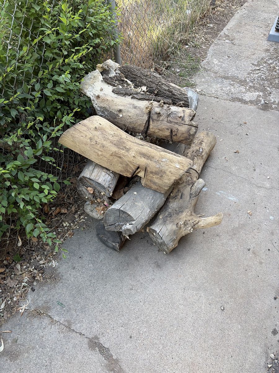 Free firewood