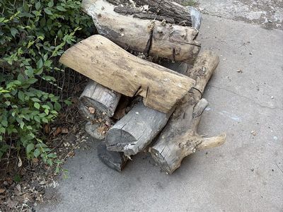 Free firewood