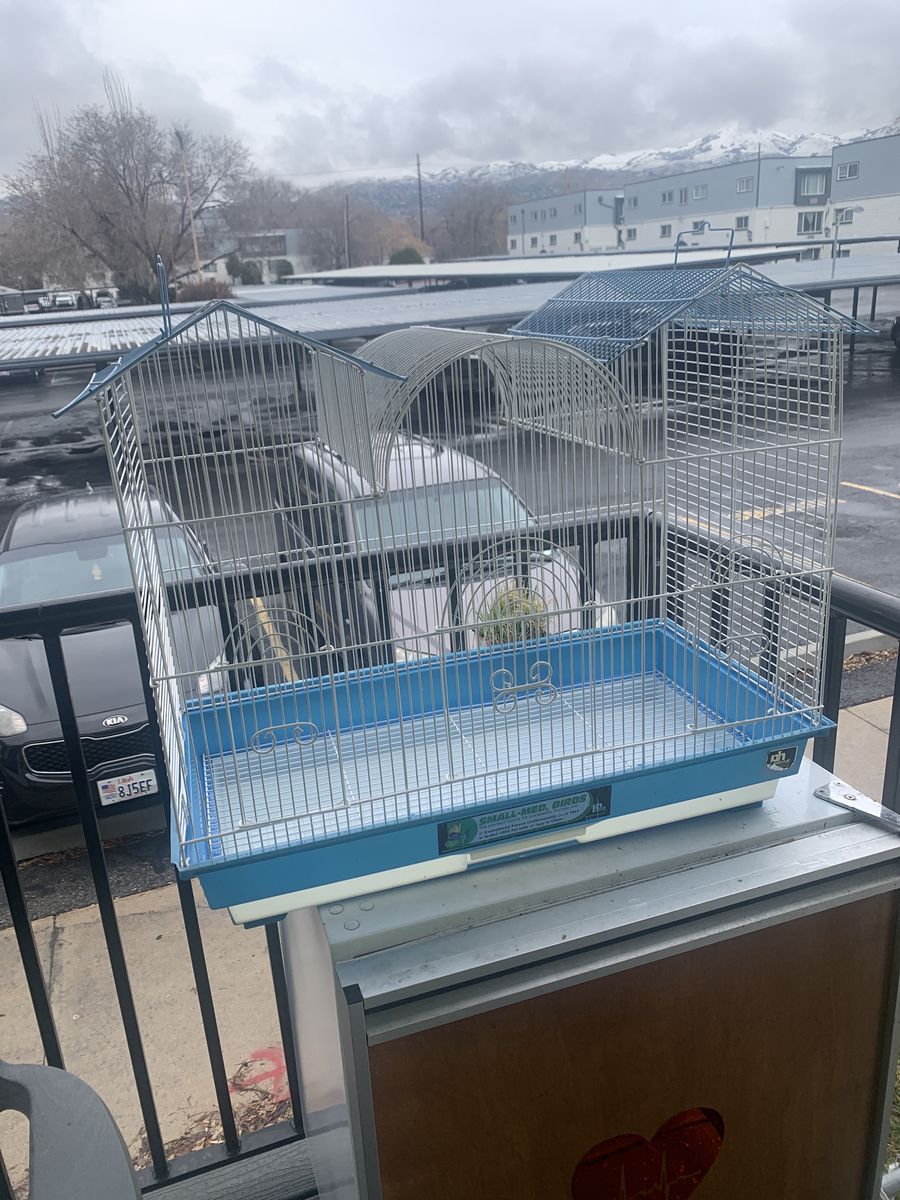 Bird Cage