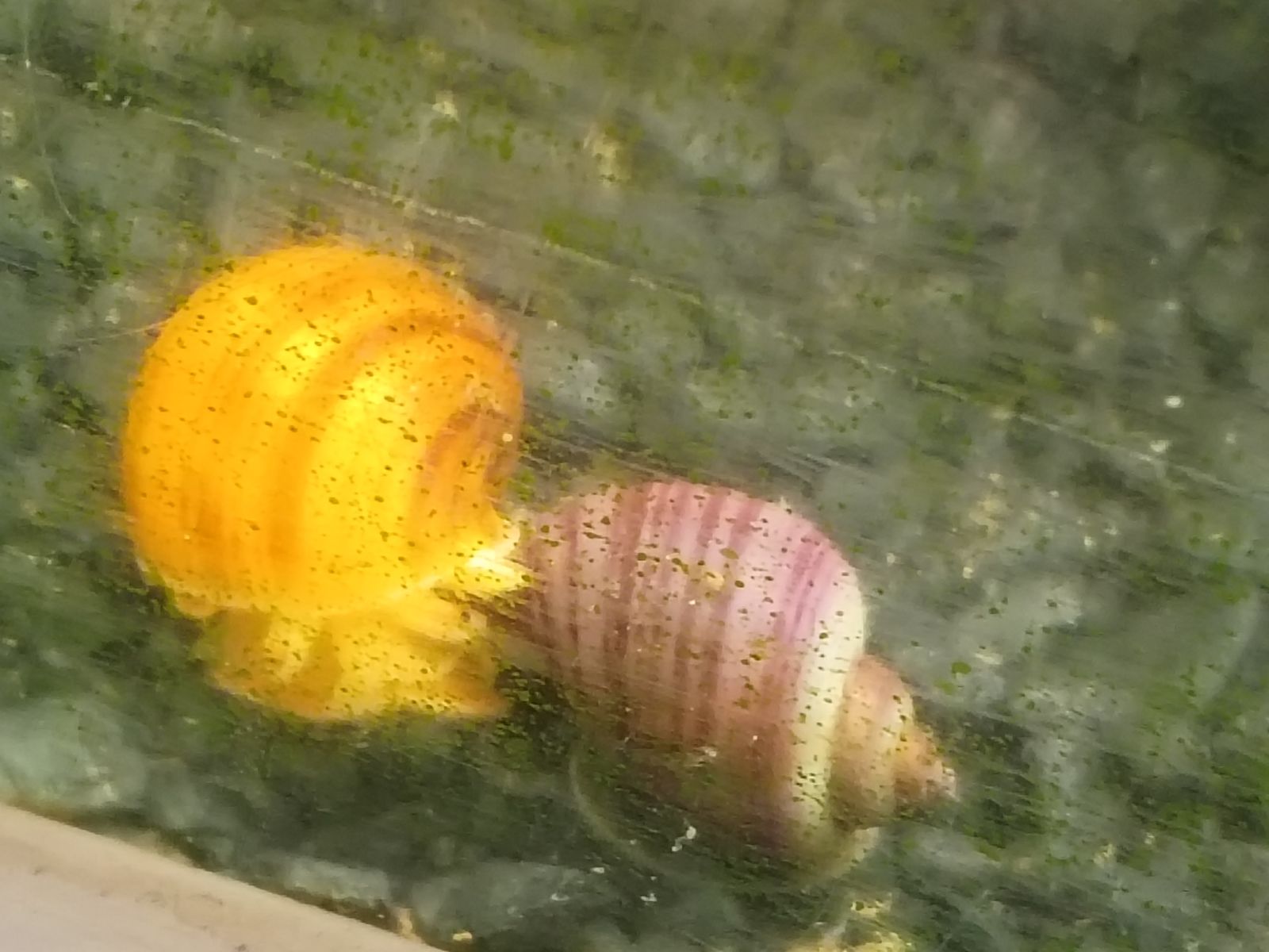 Main image 6