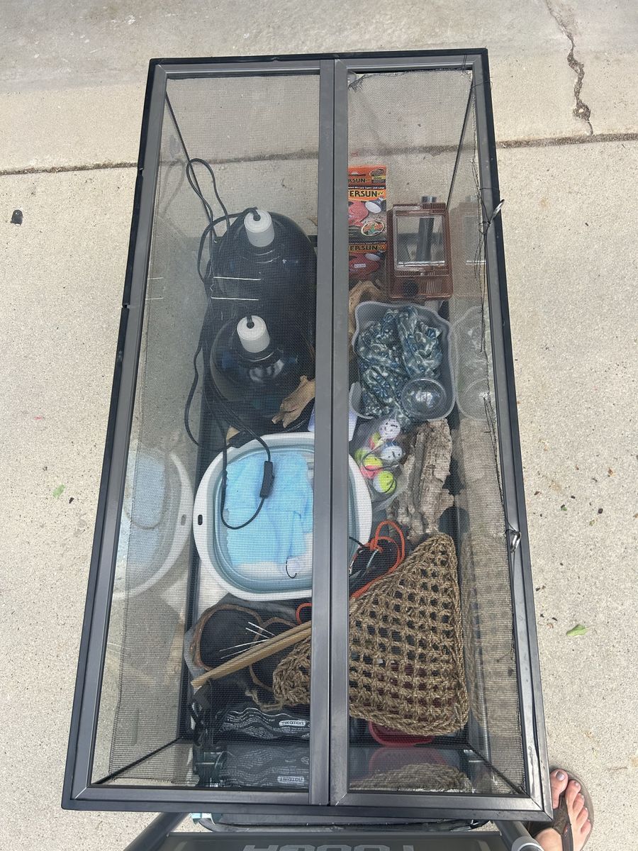 Main image 12
