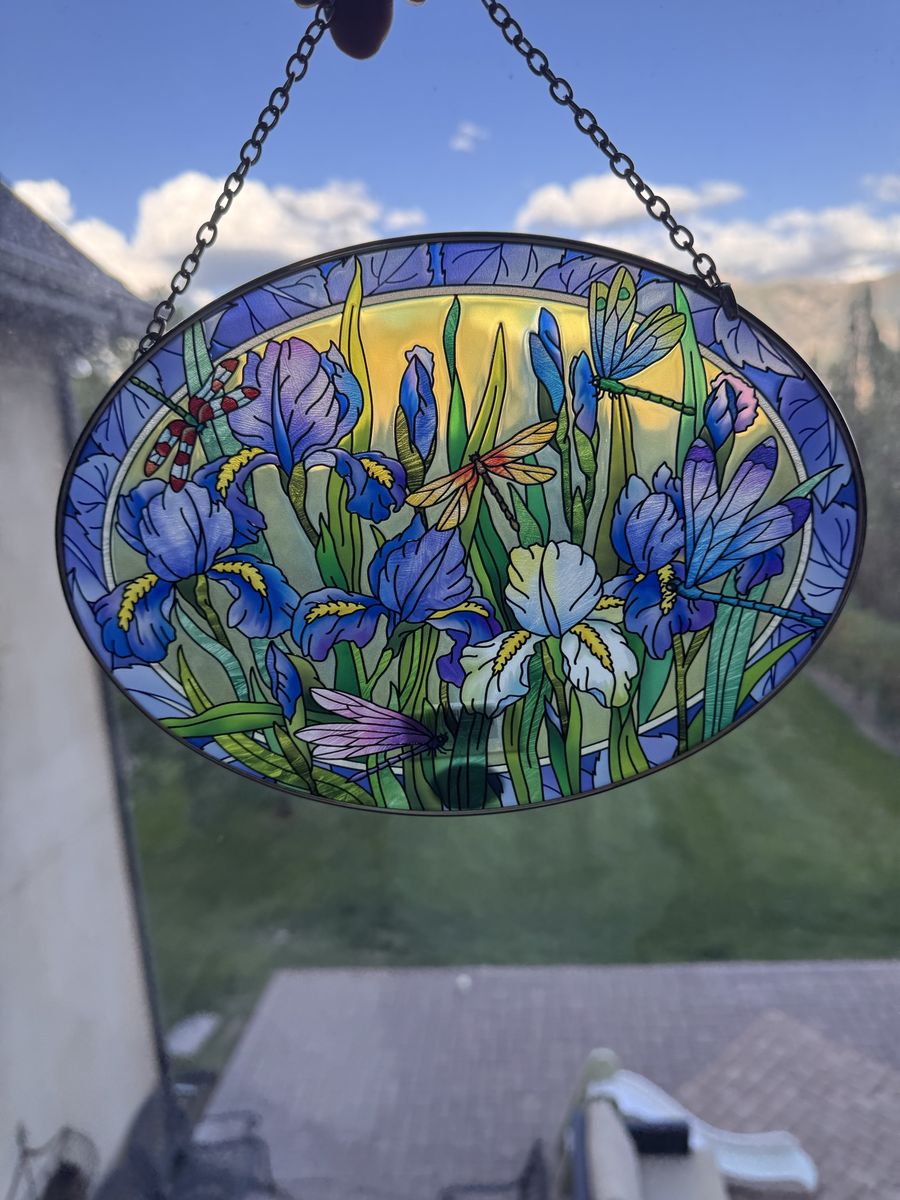 AMIA Handcrafted Stained Glass Window Hanging Oval Iris Dragonflies