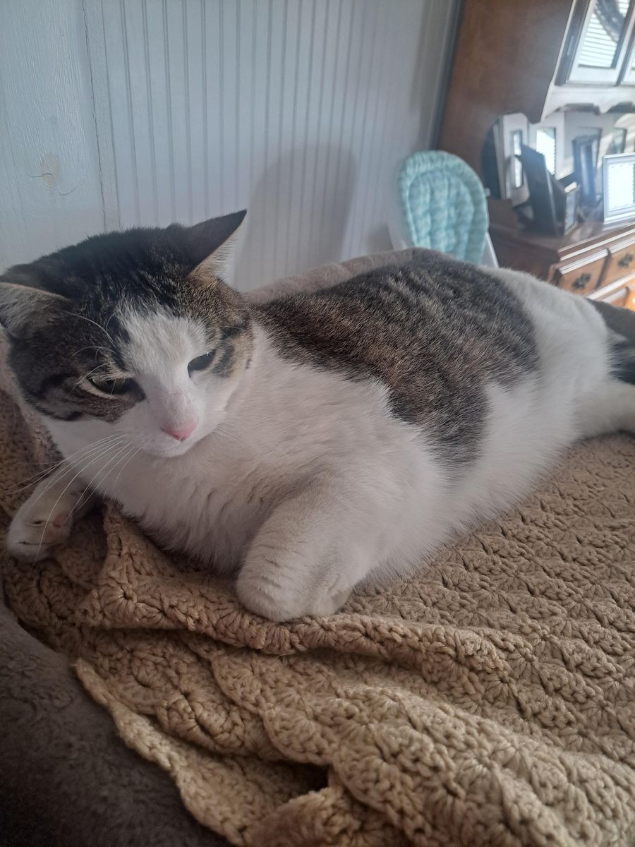 I'm Ricky, Can I Rehome With You