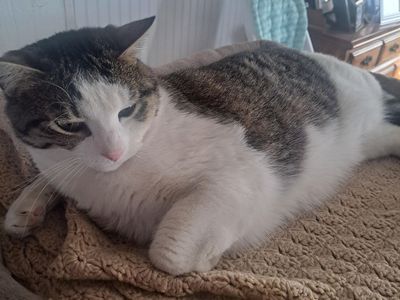 I'm Ricky, Can I Rehome With You