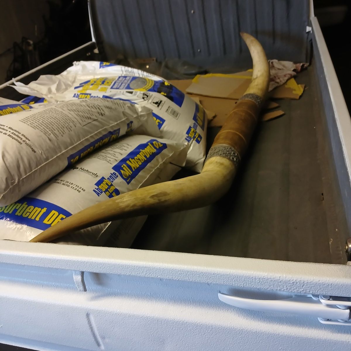 Horns off of a long horn cattle