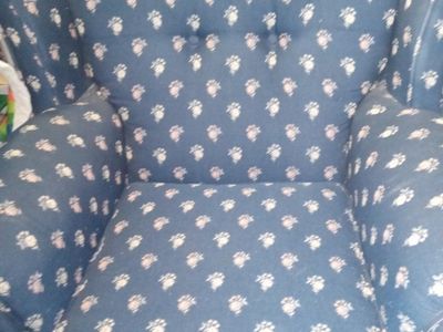 Upholstered Armchair - Blue Fabric with Floral Pattern - Comfortable Accent Chair
