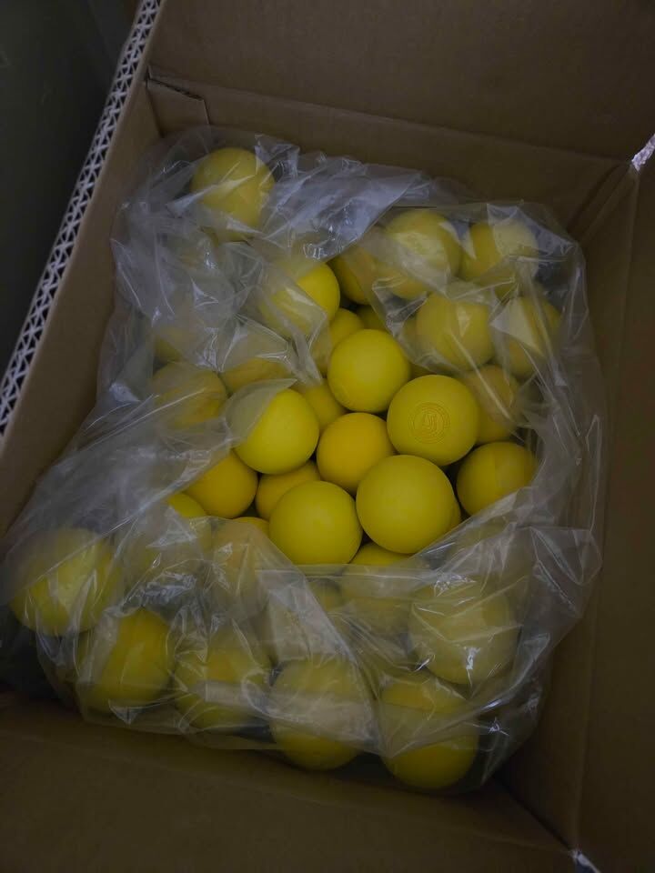 Signature Lacrosse Balls- 219