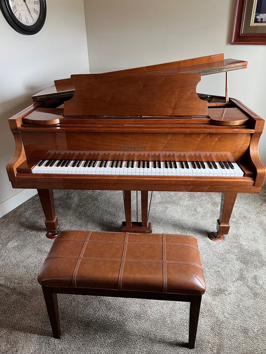 Beautiful baby grand piano