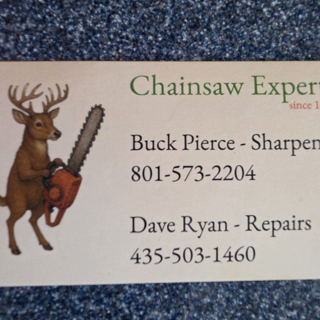 Chainsaw Experts Repairs & sharpening