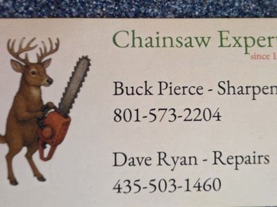 Chainsaw Experts Repairs & sharpening