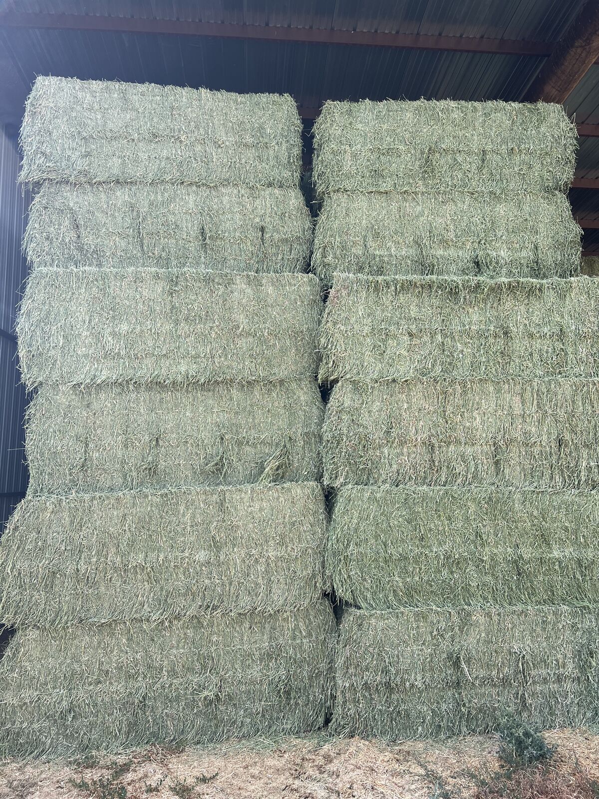 Premium Hay