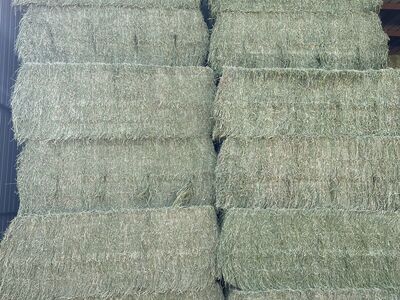 Premium Hay