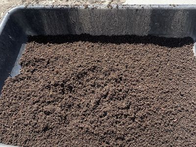 Worm Castings