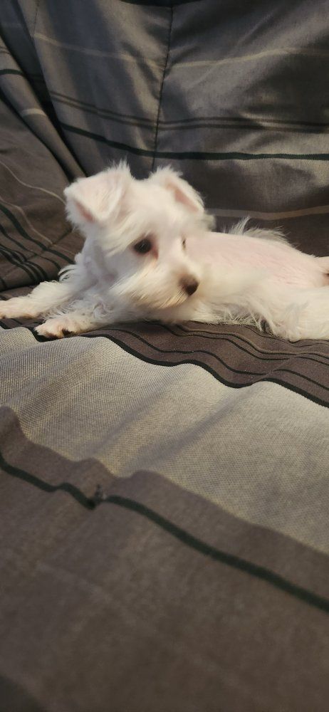 Main image 2