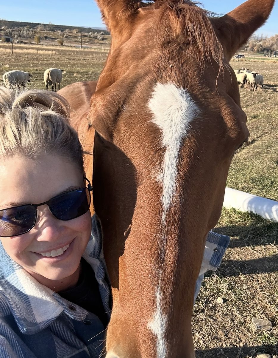 Papered Quarter Horse