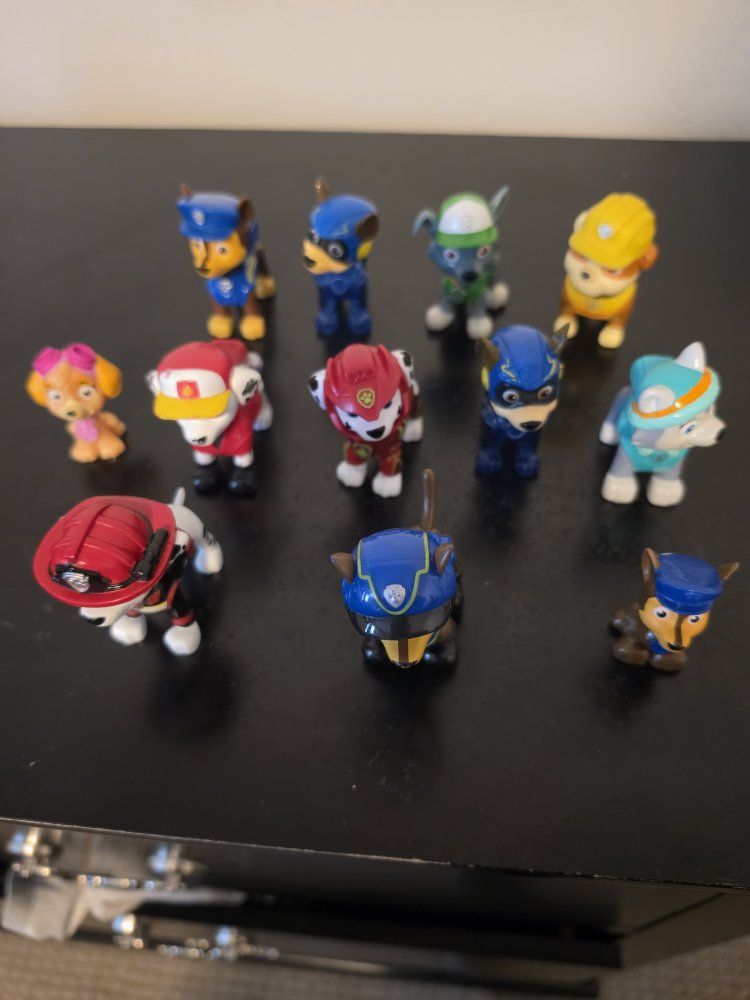 12 paw patrol pups