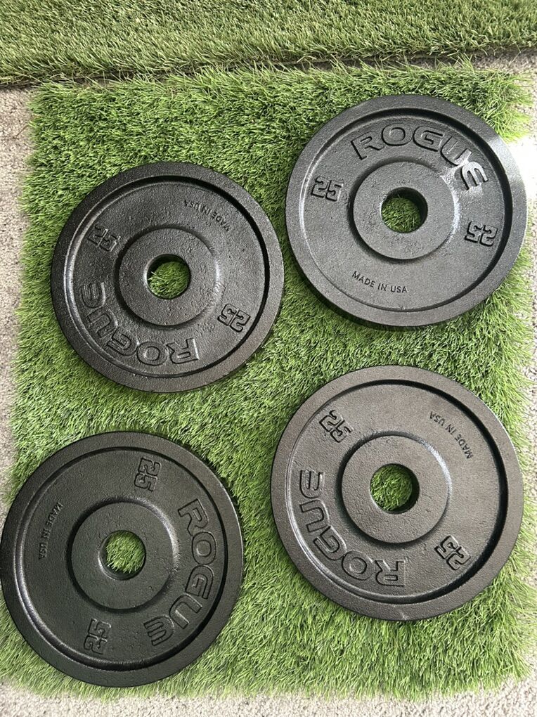 25lb Rogue Deep Dish Iron Weight Plates (1 Pair)
