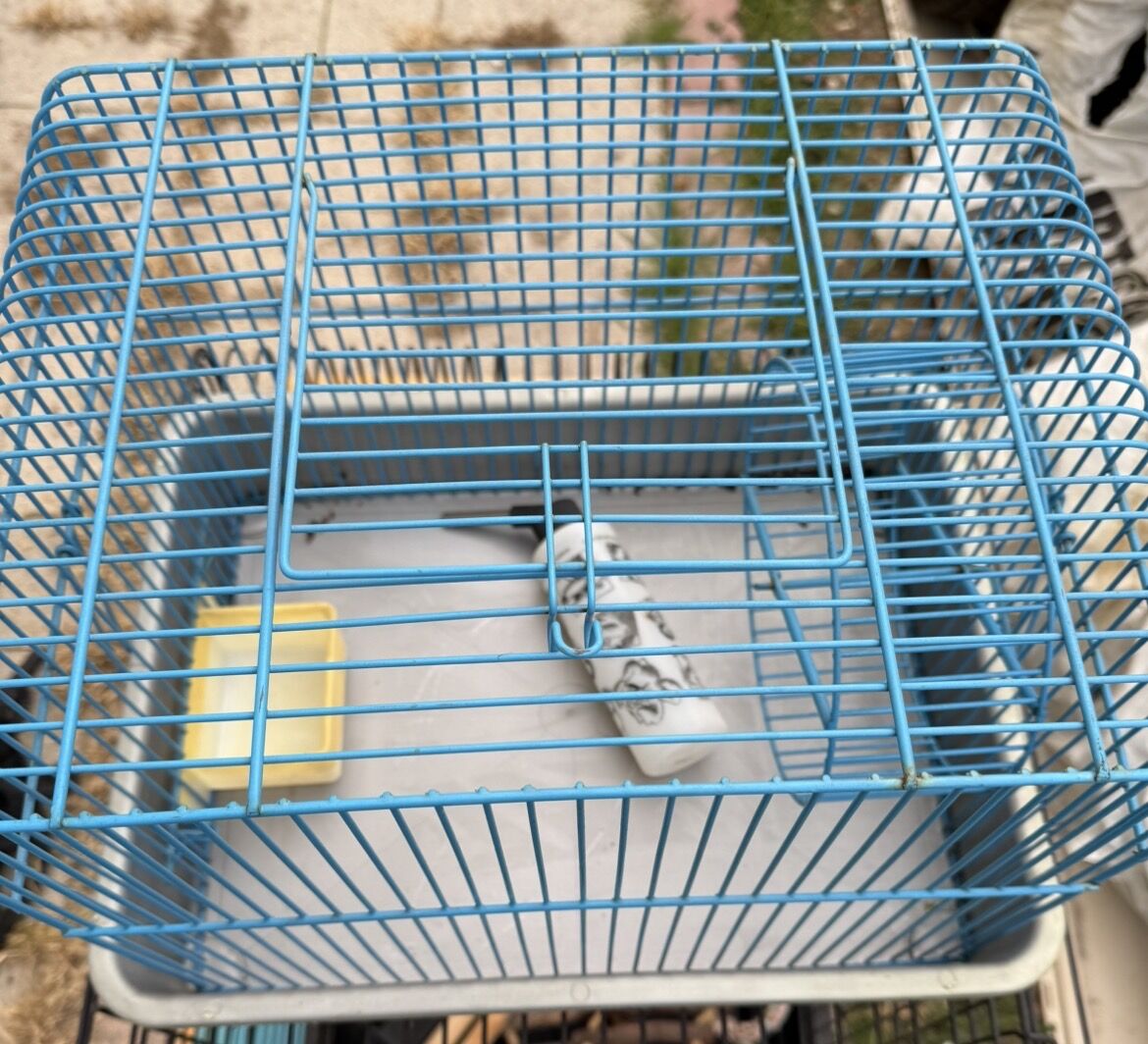 Hamster Cage