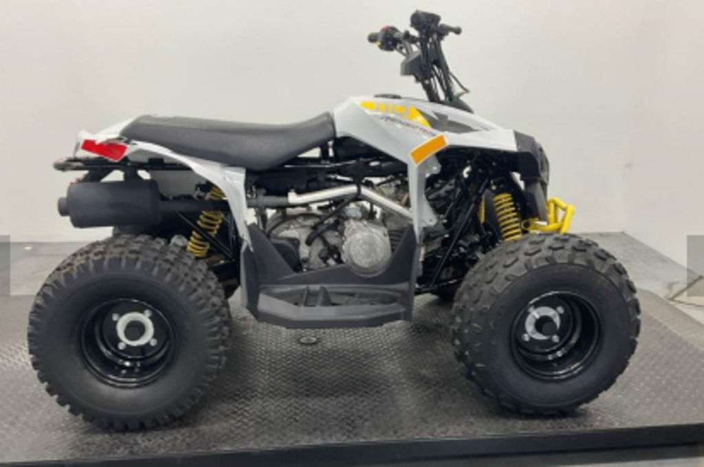 2024 Can-Am® Renegade 110 EFI