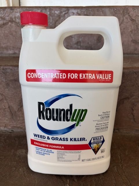 Roundup Weed and Grass Killer Concentrate 1 gal