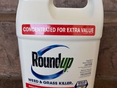 Roundup Weed and Grass Killer Concentrate 1 gal