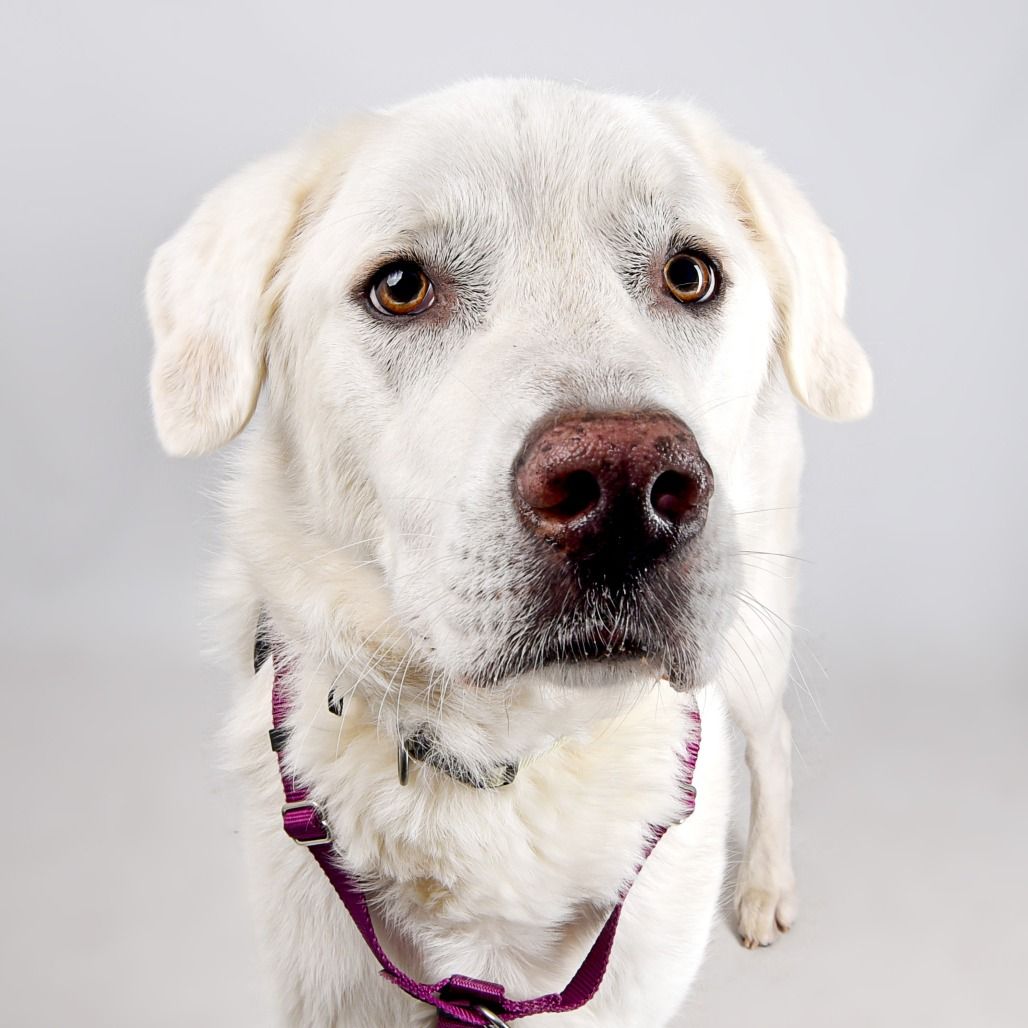 Hello my name is Athena