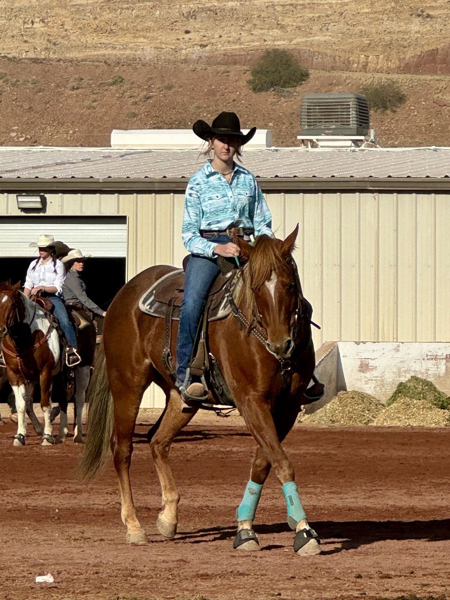 2D Money Barrel Horse