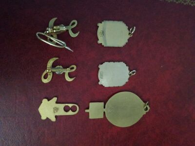 lions club 10kt filled