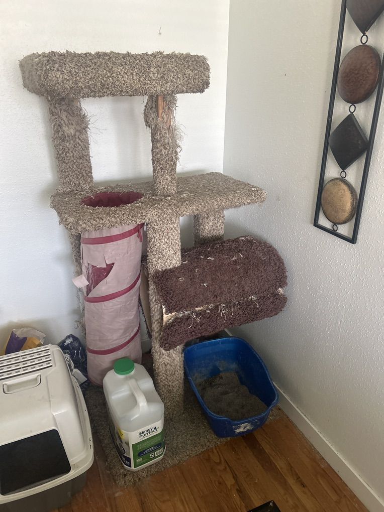 Cat Activity Gym