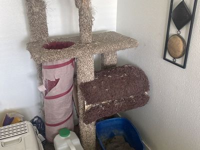 Cat Activity Gym