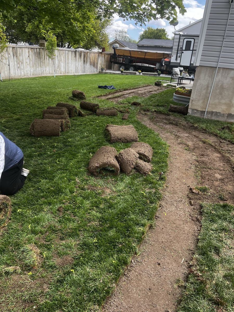 Sod great shape 480 sq ft