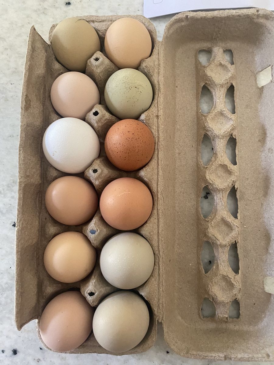 Farm Fresh Eggs