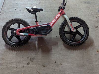 16" GasGas Electric Stryder bike