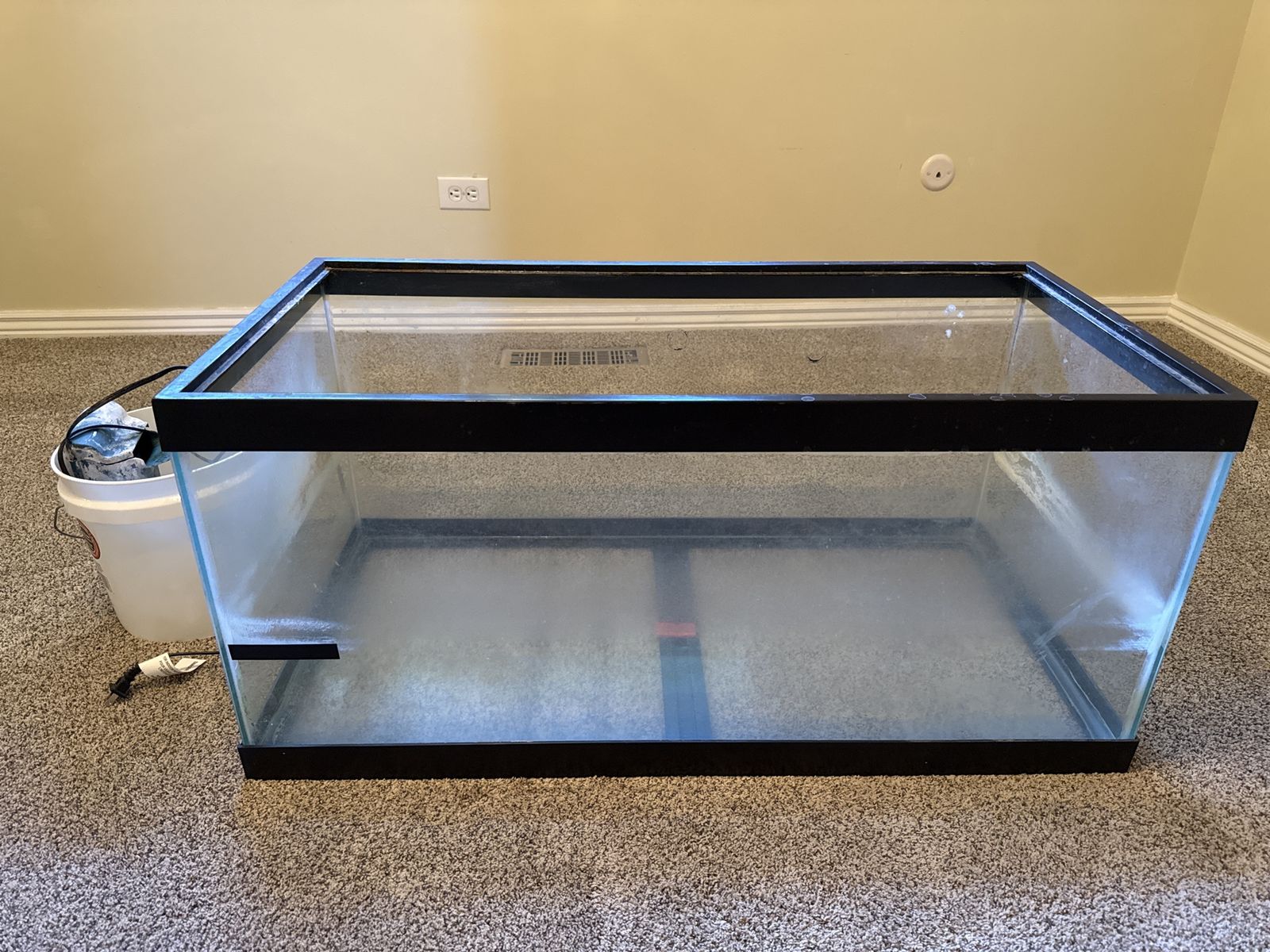 40 gallon tank