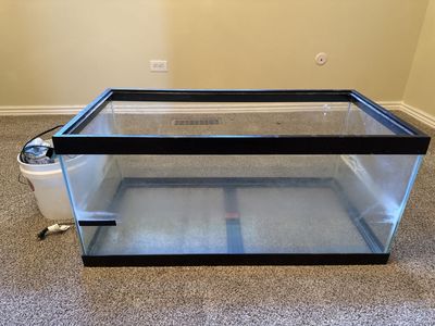 40 gallon tank
