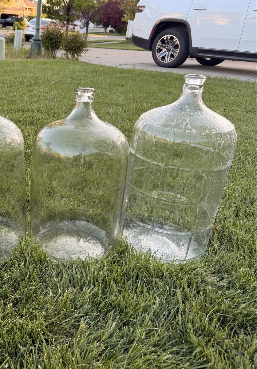 Carboys 6 Gallons