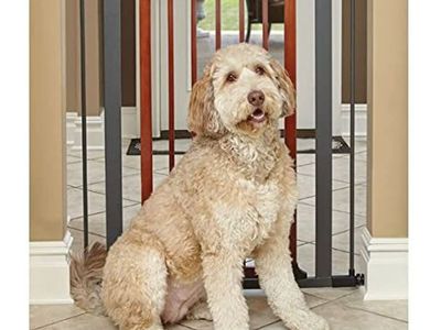 MidWest Homes for Pets 39-Inch Tall Pet Gate with Textured Graphite Frame and Decorative Wood Door, Expands to 38 Inches Wide