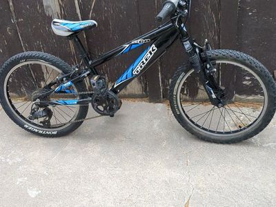 2009 Trek Mt 60 20" kids bike