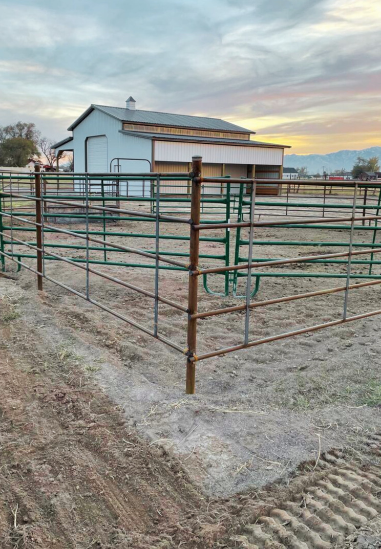 5-Rail Continuous Fence Panels (1-1/4" x 48")