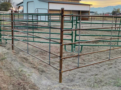 5-Rail Continuous Fence Panels (1-1/4" x 48")