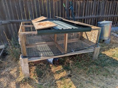 Rabbit Hutches with automatic water