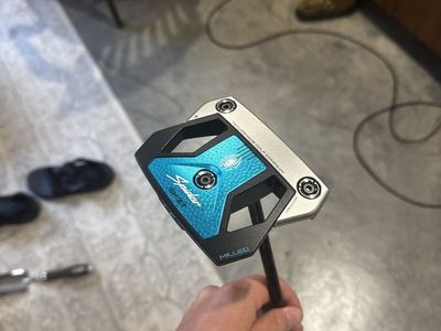 35 Taylormade Spider ZT