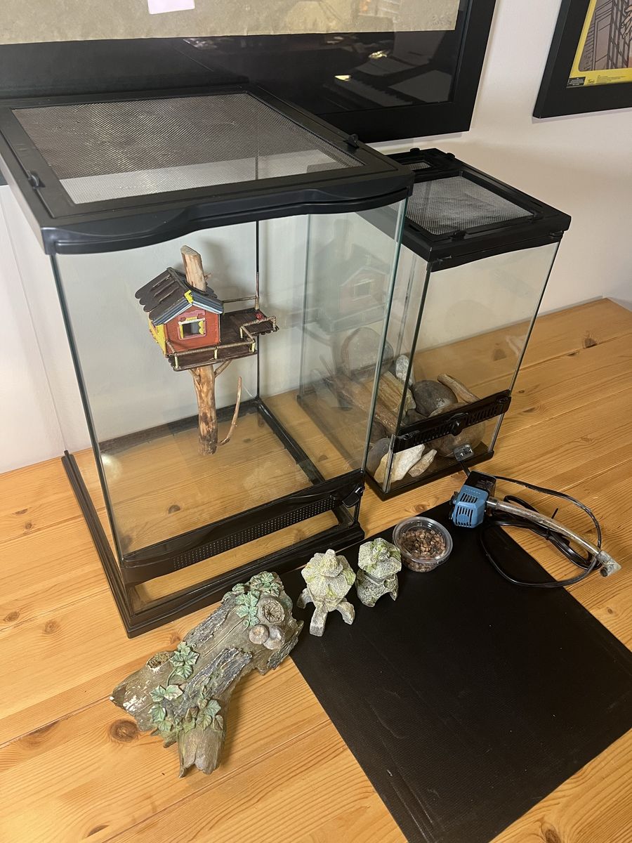TWO PERFECT GLASS TERRARIUMS