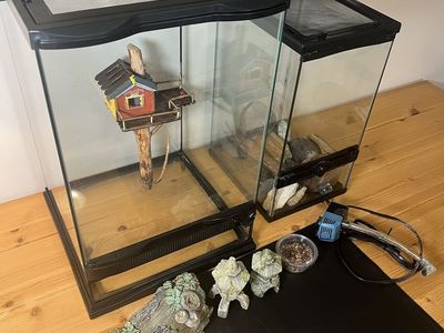 TWO PERFECT GLASS TERRARIUMS
