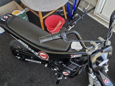 Burromax TT250 Electric Mini Bike.Everything works in perfect condition.
